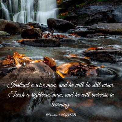 Picture 03 - Proverbs 9:9 WEB - Instruct a wise man, and he will be still wiser. - Bible Verse Picture
