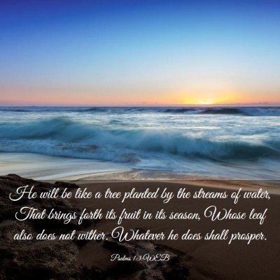 Picture 03 - Psalms 1:3 WEB - He will be like a tree planted by the streams of - Bible Verse Picture
