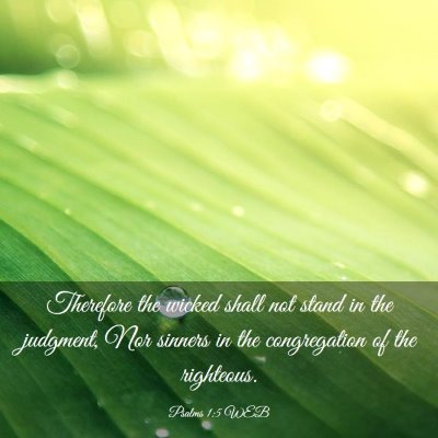 Picture 03 - Psalms 1:5 WEB - Therefore the wicked shall not stand in the - Bible Verse Picture