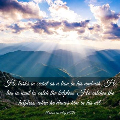 Picture 03 - Psalms 10:9 WEB - He lurks in secret as a lion in his ambush. He - Bible Verse Picture