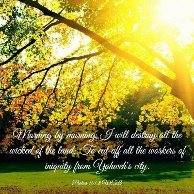 Picture 03 - Psalms 101:8 WEB - Morning by morning, I will destroy all the wicked - Bible Verse Picture