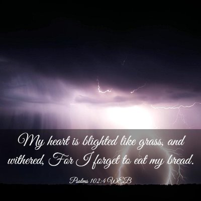 Picture 03 - Psalms 102:4 WEB - My heart is blighted like grass, and withered, - Bible Verse Picture