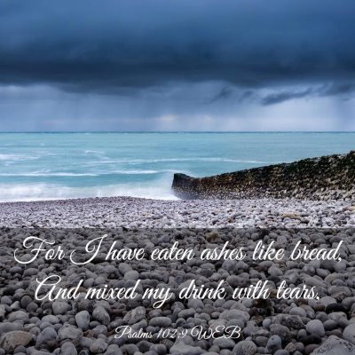 Picture 03 - Psalms 102:9 WEB - For I have eaten ashes like bread, And mixed my - Bible Verse Picture