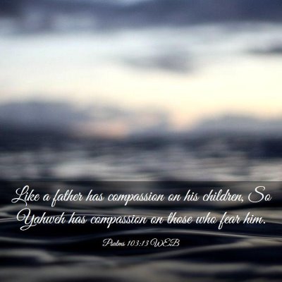 Picture 03 - Psalms 103:13 WEB - Like a father has compassion on his children, So - Bible Verse Picture