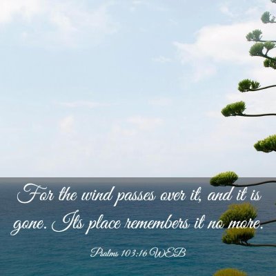 Picture 03 - Psalms 103:16 WEB - For the wind passes over it, and it is gone. Its - Bible Verse Picture