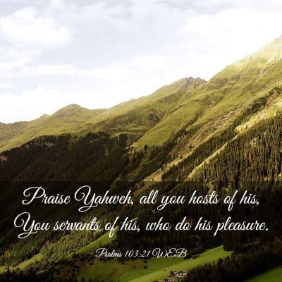 Picture 03 - Psalms 103:21 WEB - Praise Yahweh, all you hosts of his, You servants - Bible Verse Picture