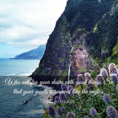 Picture 03 - Psalms 103:5 WEB - Who satisfies your desire with good things, So - Bible Verse Picture