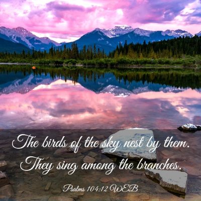 Picture 03 - Psalms 104:12 WEB - The birds of the sky nest by them. They sing - Bible Verse Picture