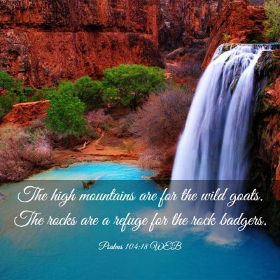 Picture 03 - Psalms 104:18 WEB - The high mountains are for the wild goats. The - Bible Verse Picture
