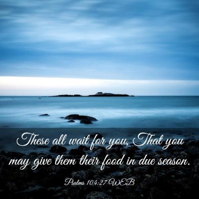 Picture 03 - Psalms 104:27 WEB - These all wait for you, That you may give them - Bible Verse Picture
