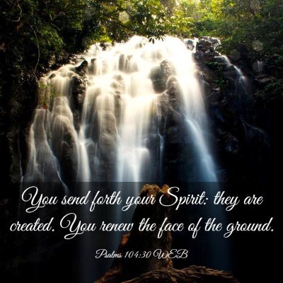 Picture 03 - Psalms 104:30 WEB - You send forth your Spirit: they are created. You - Bible Verse Picture