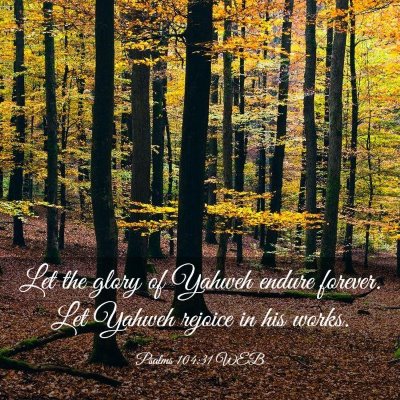 Picture 03 - Psalms 104:31 WEB - Let the glory of Yahweh endure forever. Let - Bible Verse Picture