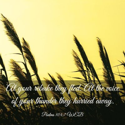 Picture 03 - Psalms 104:7 WEB - At your rebuke they fled. At the voice of your - Bible Verse Picture