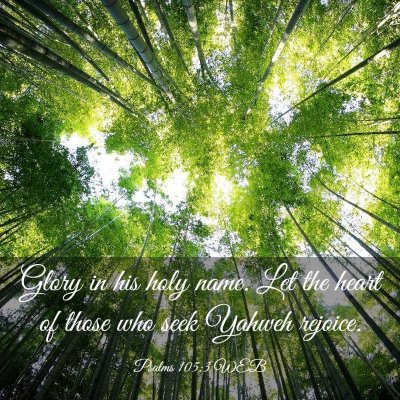 Picture 03 - Psalms 105:3 WEB - Glory in his holy name. Let the heart of those - Bible Verse Picture