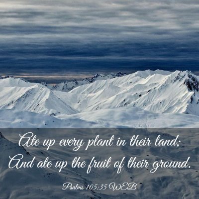Picture 03 - Psalms 105:35 WEB - Ate up every plant in their land; And ate up the - Bible Verse Picture