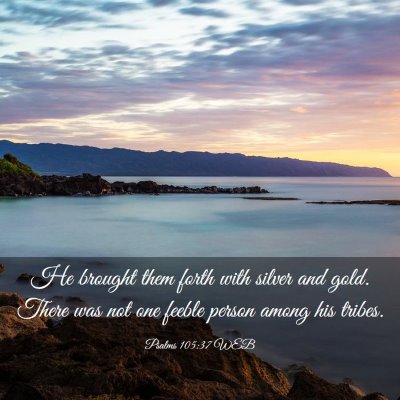 Picture 03 - Psalms 105:37 WEB - He brought them forth with silver and gold. There - Bible Verse Picture