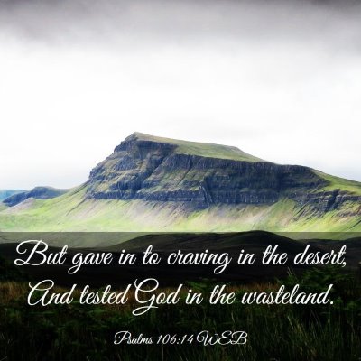 Picture 03 - Psalms 106:14 WEB - But gave in to craving in the desert, And tested - Bible Verse Picture