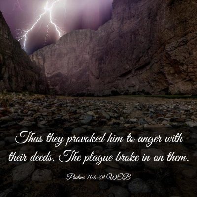Picture 03 - Psalms 106:29 WEB - Thus they provoked him to anger with their deeds. - Bible Verse Picture