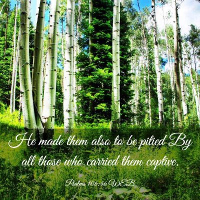 Picture 03 - Psalms 106:46 WEB - He made them also to be pitied By all those who - Bible Verse Picture