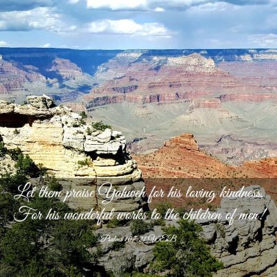 Picture 03 - Psalms 107:21 WEB - Let them praise Yahweh for his loving kindness, - Bible Verse Picture