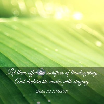 Picture 03 - Psalms 107:22 WEB - Let them offer the sacrifices of thanksgiving, - Bible Verse Picture