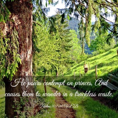 Picture 03 - Psalms 107:40 WEB - He pours contempt on princes, And causes them to - Bible Verse Picture