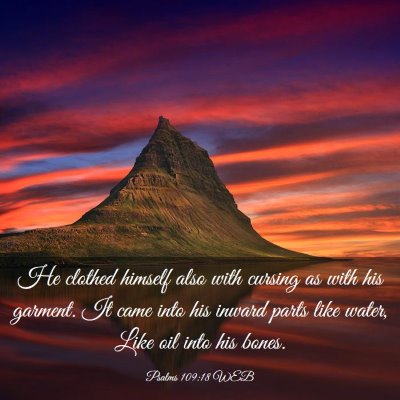 Picture 03 - Psalms 109:18 WEB - He clothed himself also with cursing as with his - Bible Verse Picture