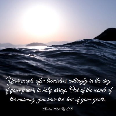 Picture 03 - Psalms 110:3 WEB - Your people offer themselves willingly in the day - Bible Verse Picture