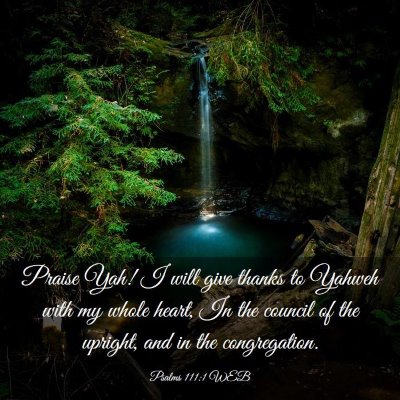 Picture 03 - Psalms 111:1 WEB - Praise Yah! I will give thanks to Yahweh with my - Bible Verse Picture