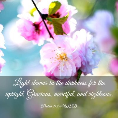 Picture 03 - Psalms 112:4 WEB - Light dawns in the darkness for the upright, - Bible Verse Picture