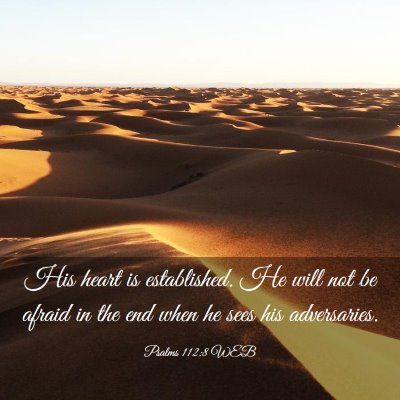 Picture 03 - Psalms 112:8 WEB - His heart is established. He will not be afraid - Bible Verse Picture