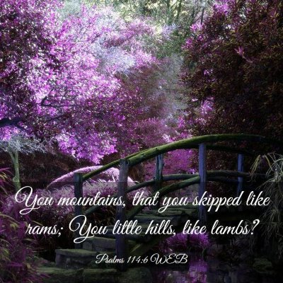 Picture 03 - Psalms 114:6 WEB - You mountains, that you skipped like rams; You - Bible Verse Picture