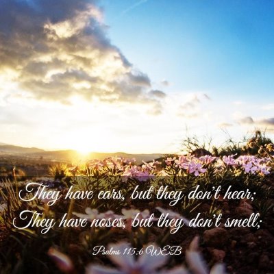 Picture 03 - Psalms 115:6 WEB - They have ears, but they don't hear; They have - Bible Verse Picture