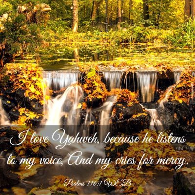 Picture 03 - Psalms 116:1 WEB - I love Yahweh, because he listens to my voice, - Bible Verse Picture