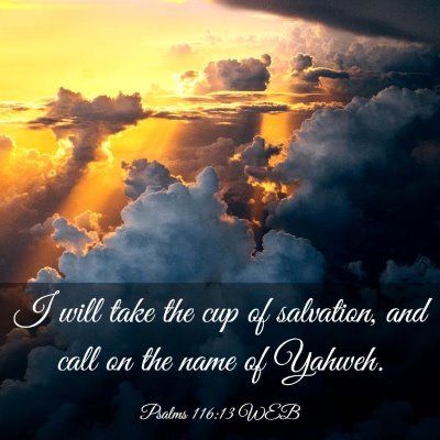 Picture 03 - Psalms 116:13 WEB - I will take the cup of salvation, and call on the - Bible Verse Picture