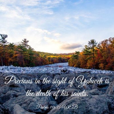 Picture 03 - Psalms 116:15 WEB - Precious in the sight of Yahweh is the death of - Bible Verse Picture