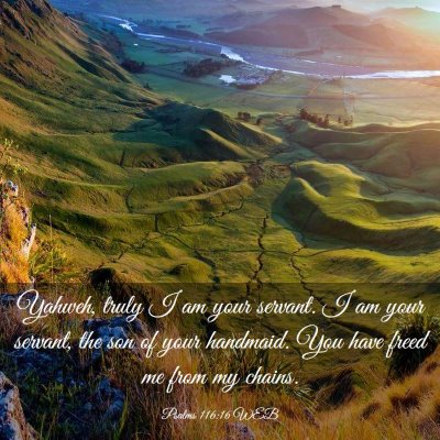 Picture 03 - Psalms 116:16 WEB - Yahweh, truly I am your servant. I am your - Bible Verse Picture