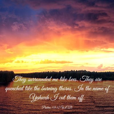 Picture 03 - Psalms 118:12 WEB - They surrounded me like bees. They are quenched - Bible Verse Picture