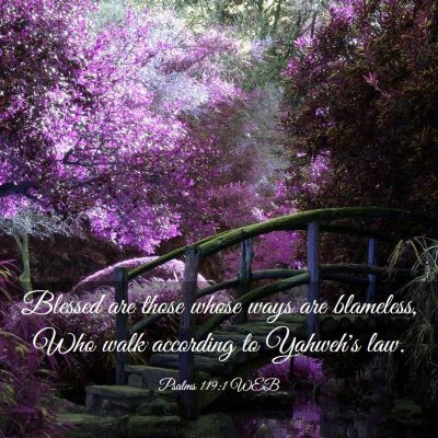 Picture 03 - Psalms 119:1 WEB - Blessed are those whose ways are blameless, Who - Bible Verse Picture