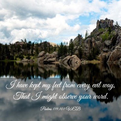 Picture 03 - Psalms 119:101 WEB - I have kept my feet from every evil way, That I - Bible Verse Picture