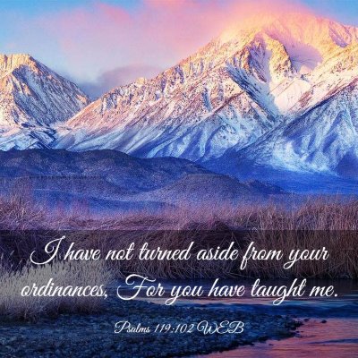 Picture 03 - Psalms 119:102 WEB - I have not turned aside from your ordinances, For - Bible Verse Picture