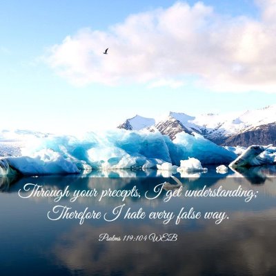 Picture 03 - Psalms 119:104 WEB - Through your precepts, I get understanding; - Bible Verse Picture