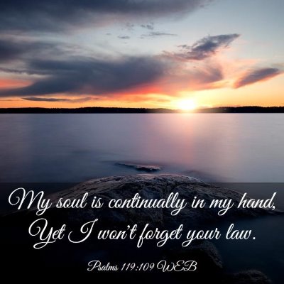Picture 03 - Psalms 119:109 WEB - My soul is continually in my hand, Yet I won't - Bible Verse Picture