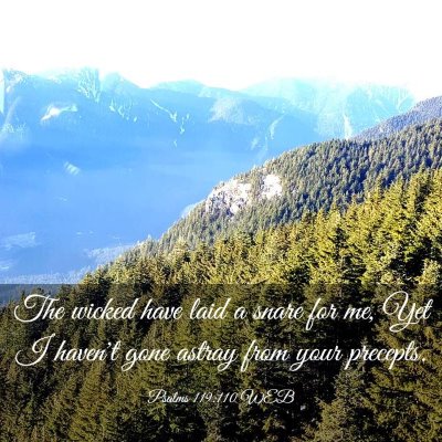 Picture 03 - Psalms 119:110 WEB - The wicked have laid a snare for me, Yet I - Bible Verse Picture