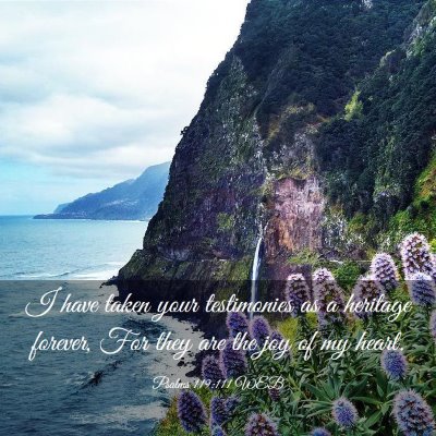 Picture 03 - Psalms 119:111 WEB - I have taken your testimonies as a heritage - Bible Verse Picture