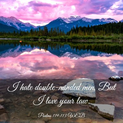 Picture 03 - Psalms 119:113 WEB - I hate double-minded men, But I love your - Bible Verse Picture
