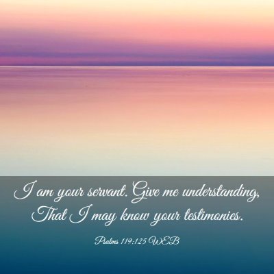 Picture 03 - Psalms 119:125 WEB - I am your servant. Give me understanding, That I - Bible Verse Picture
