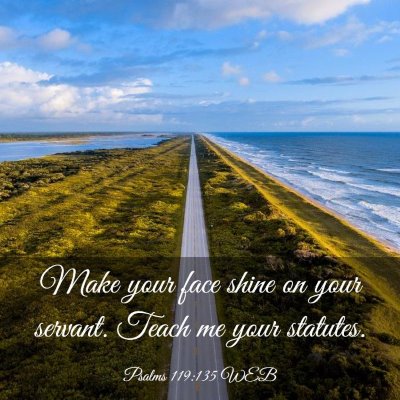 Picture 03 - Psalms 119:135 WEB - Make your face shine on your servant. Teach me - Bible Verse Picture