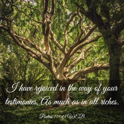 Picture 03 - Psalms 119:14 WEB - I have rejoiced in the way of your testimonies, - Bible Verse Picture