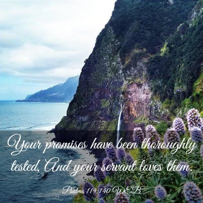 Picture 03 - Psalms 119:140 WEB - Your promises have been thoroughly tested, And - Bible Verse Picture